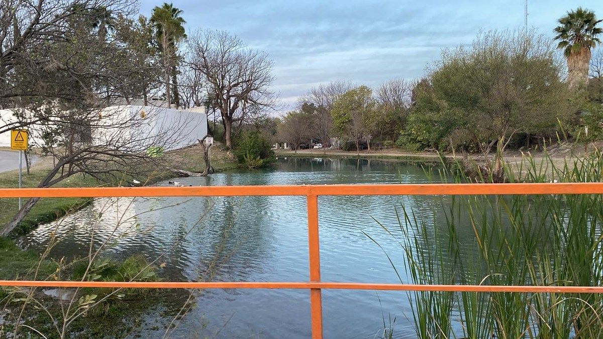 TERRENO EN VENTA SALINAS VICTORIA, foto 1 de 3