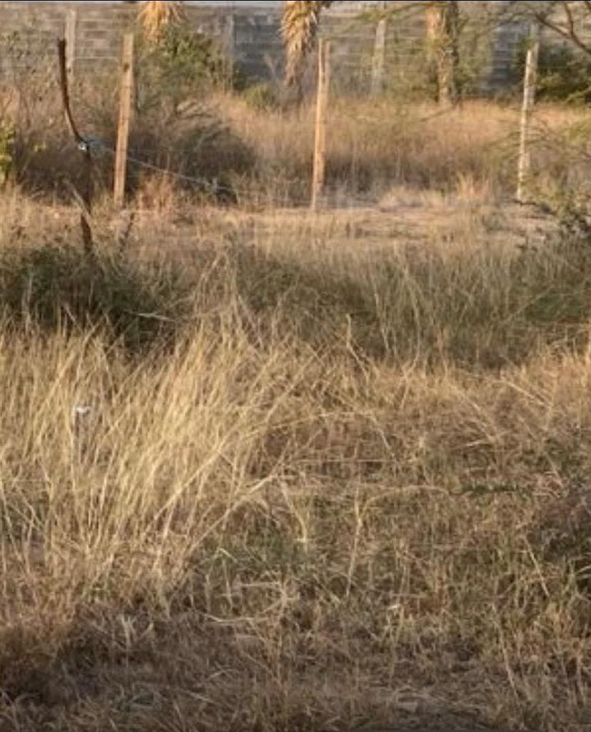 Terreno en Ejidal Mamulique, Salinas Victoria, foto 2 de 3