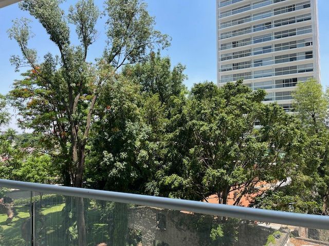 12 de 51: vista con árboles
