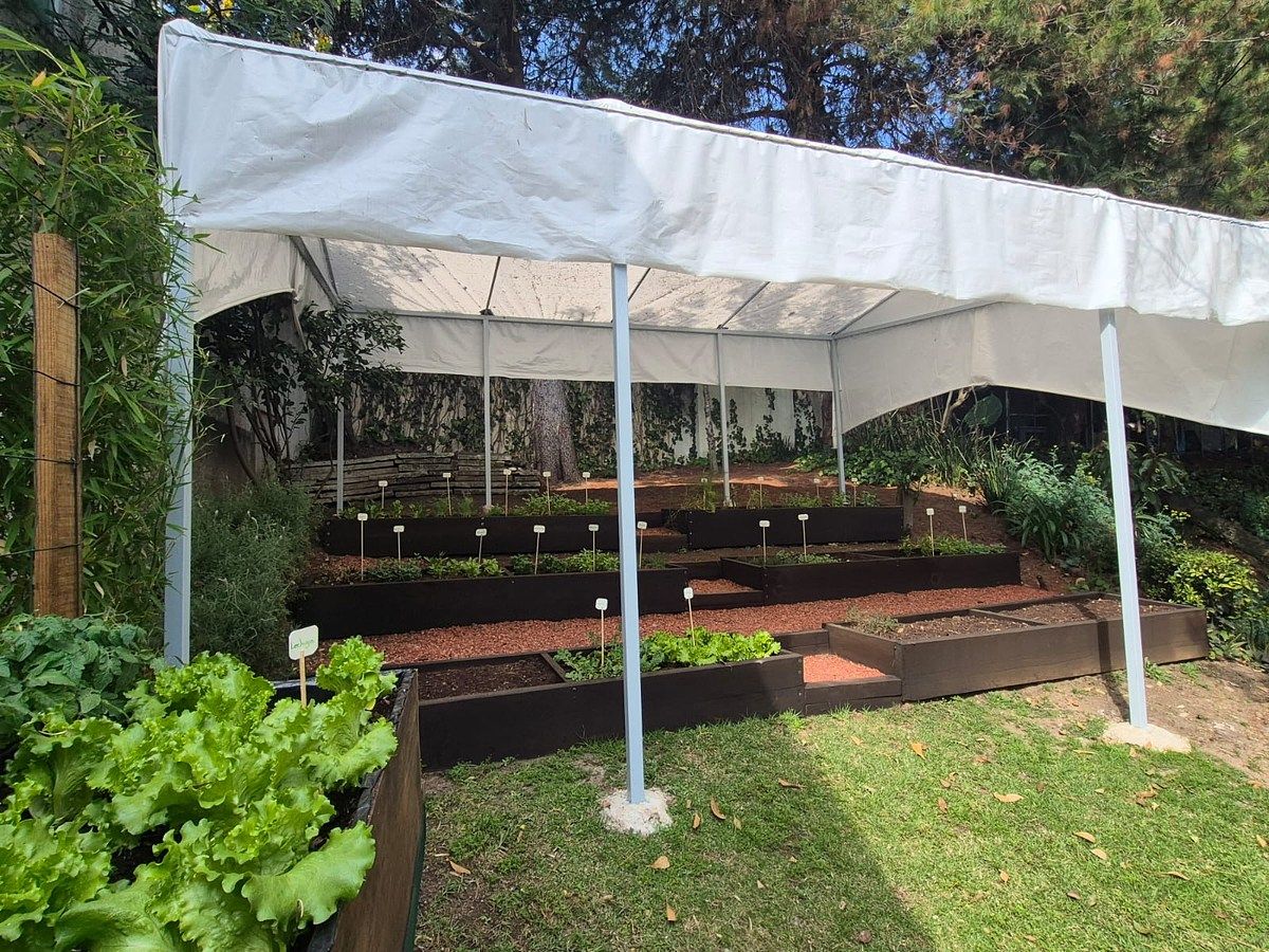 34 de 34: Zona de Hortalizas