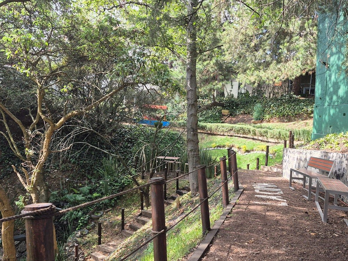 30 de 34: Áreas Verdes del conjunto