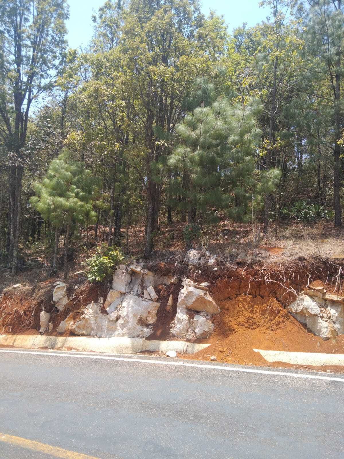 Terreno en venta a orilla de carretera.
