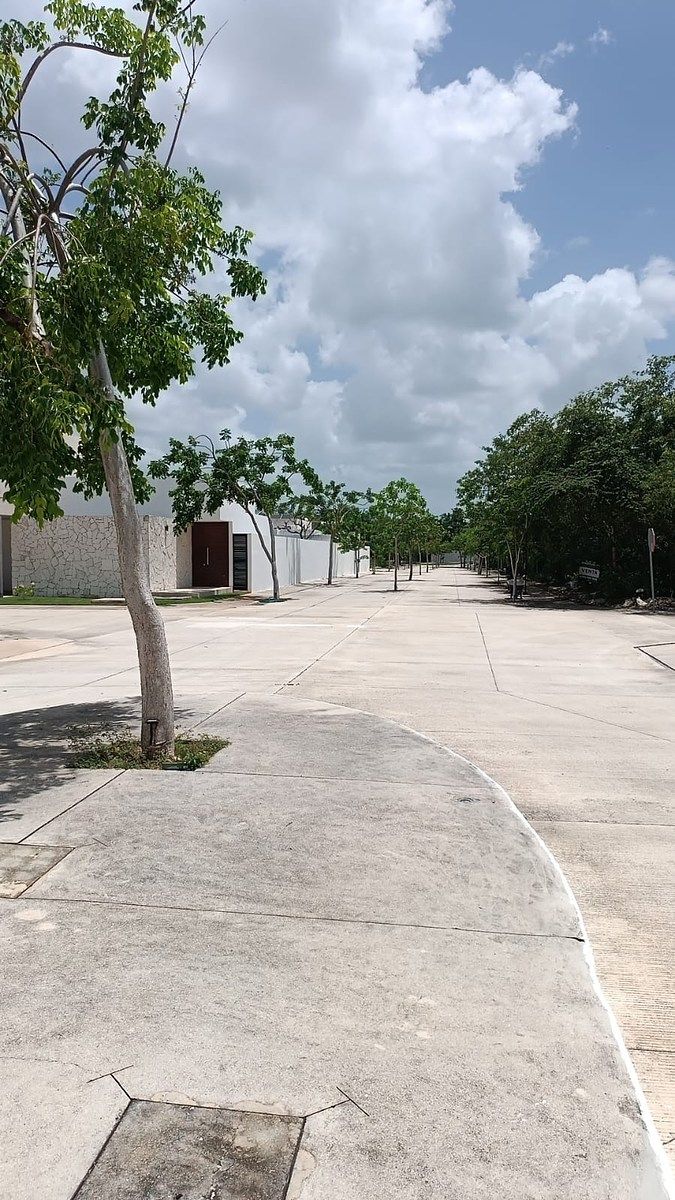 Lot in Temozón Norte, Mérida, photo 5 of 7