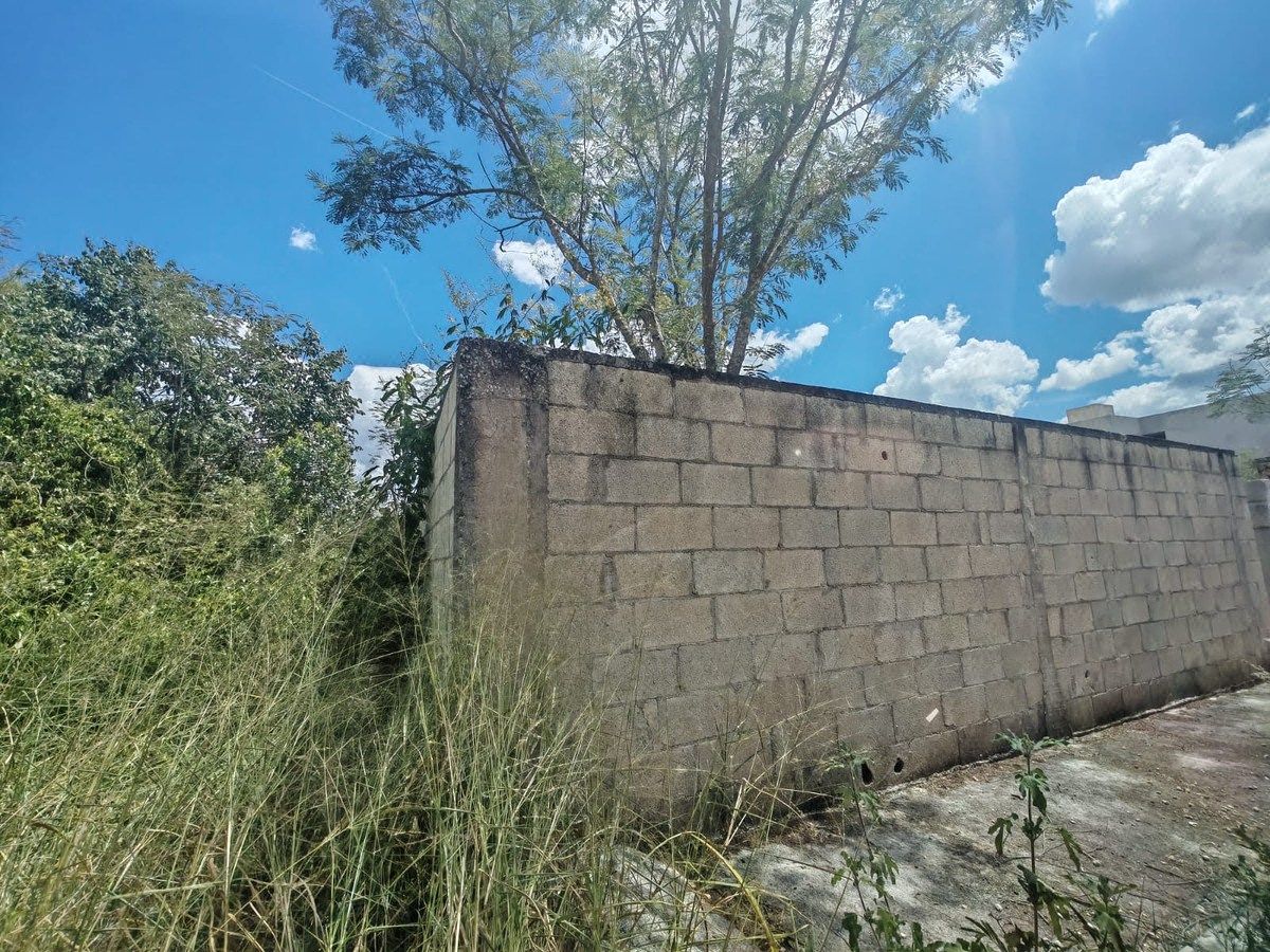 Terreno en Dzityá, Mérida, foto 6 de 7