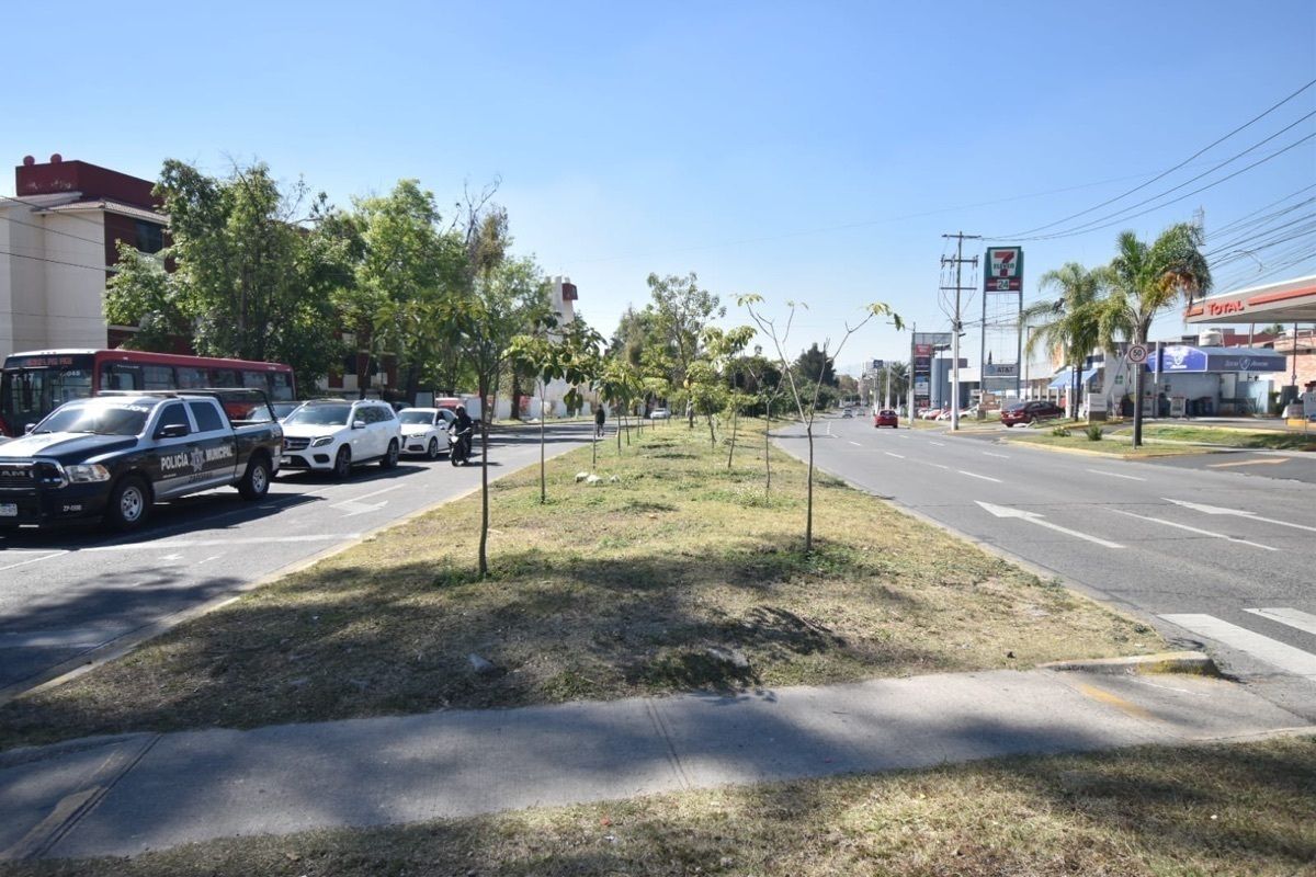 5 de 11: Terreno en venta en Col. La Estancia