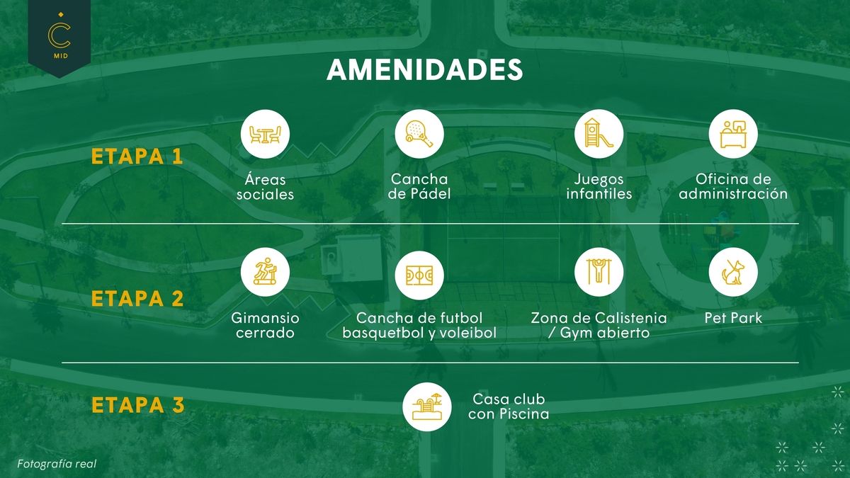 11 de 14