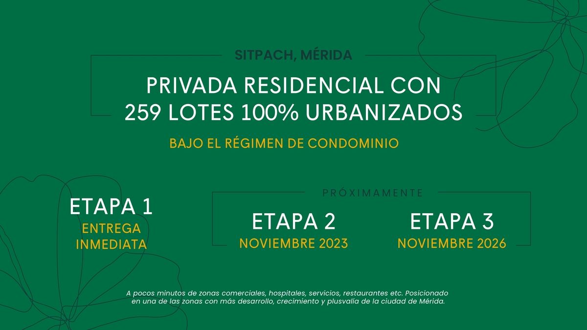 13 de 14