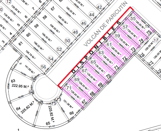 2 de 4: DISPONIBILIDAD