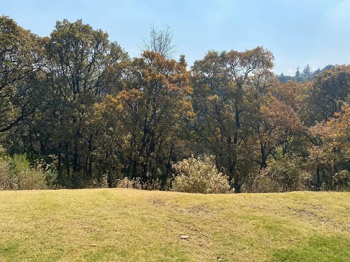 Lote em Santa Fe Cuajimalpa, Cuajimalpa de Morelos, foto 8 de 16
