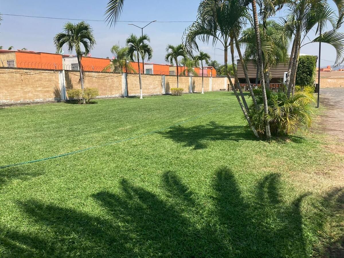 6 de 15