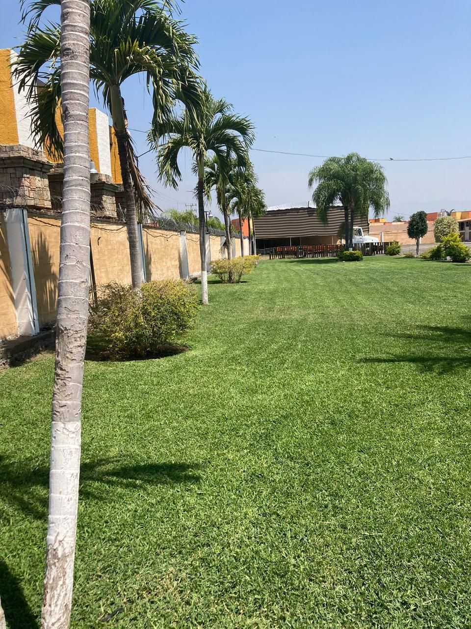 15 de 15