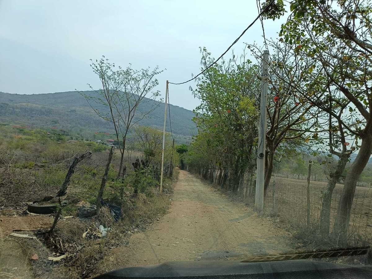 Imagen 3 de 6