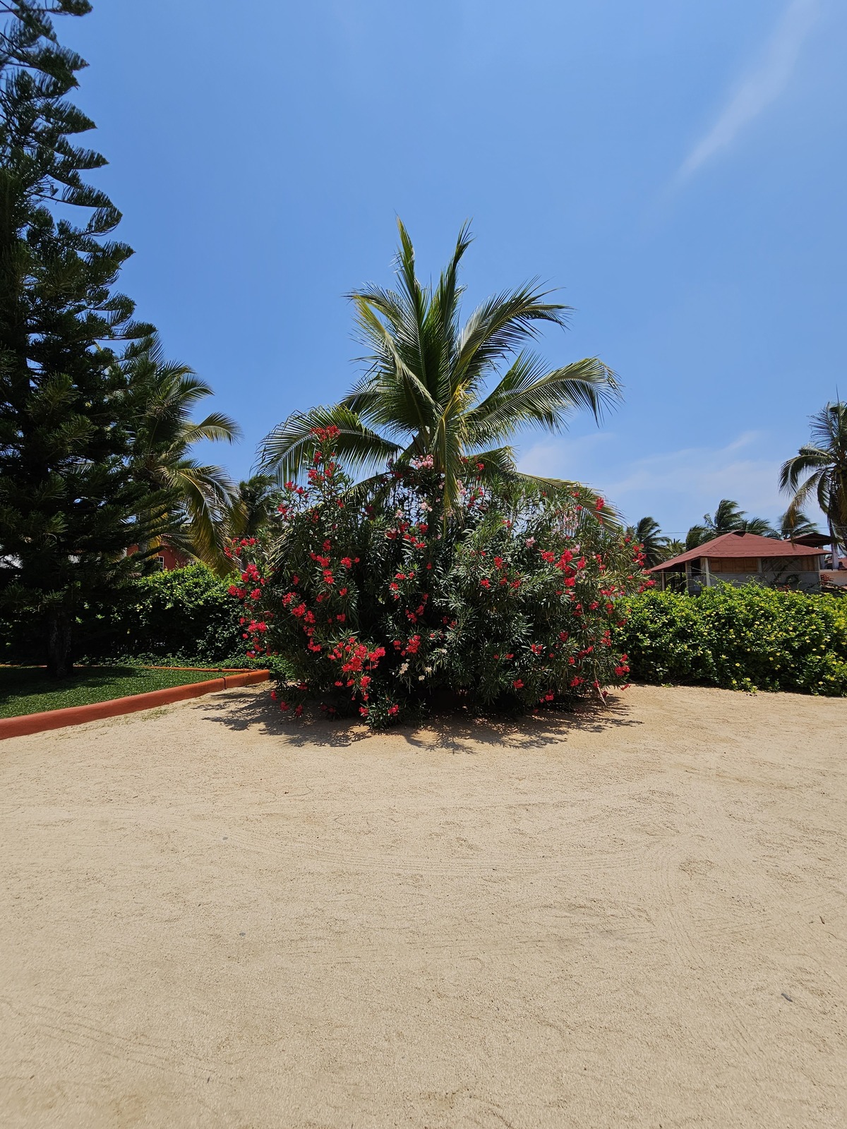 3 of 49: Amplios jardines