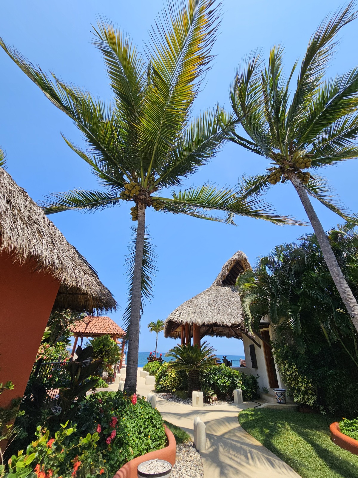 24 of 49: https://www.easybroker.com/agent/properties/casa-en-barra-de