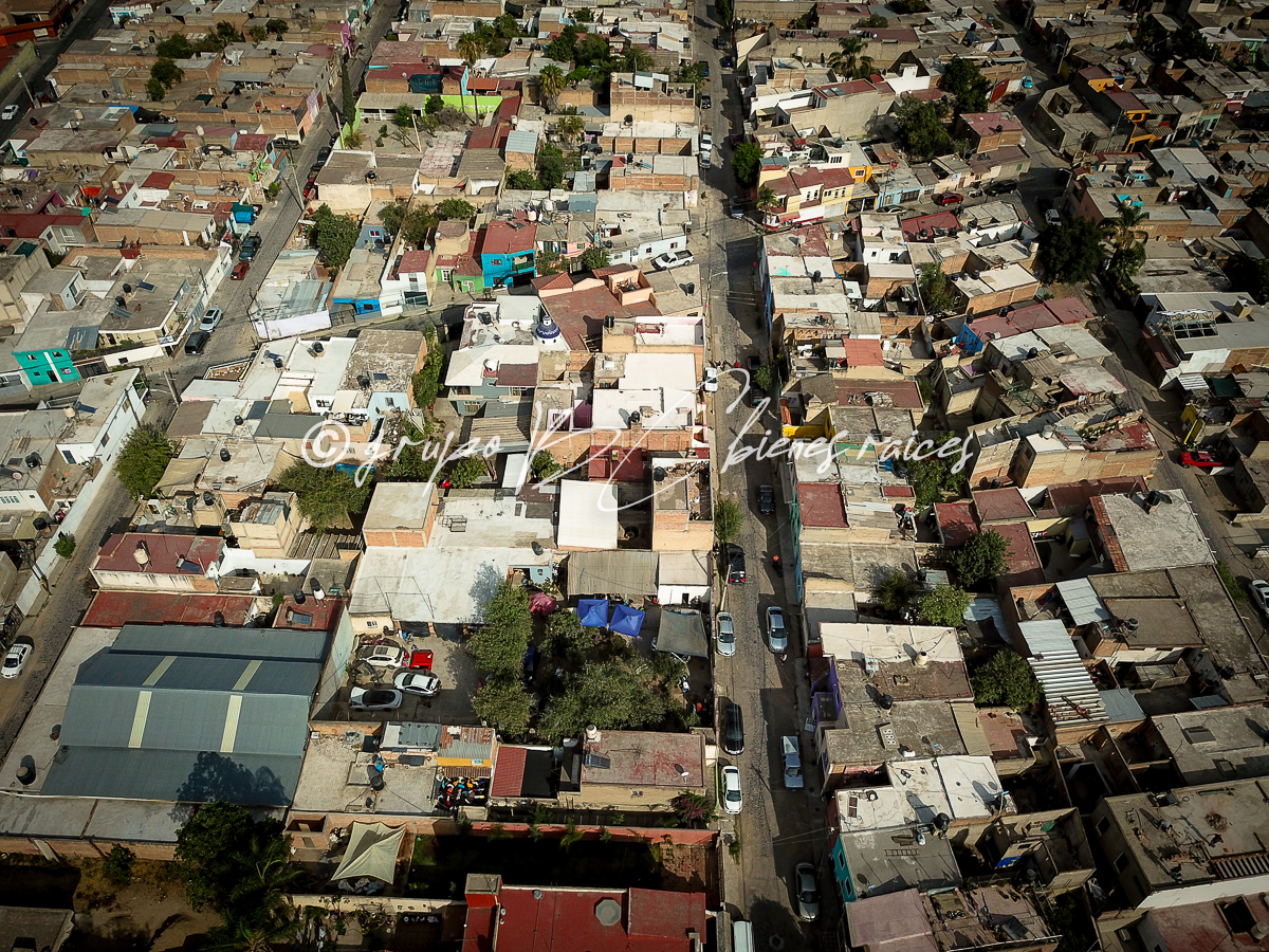 Imagen 10 de 10