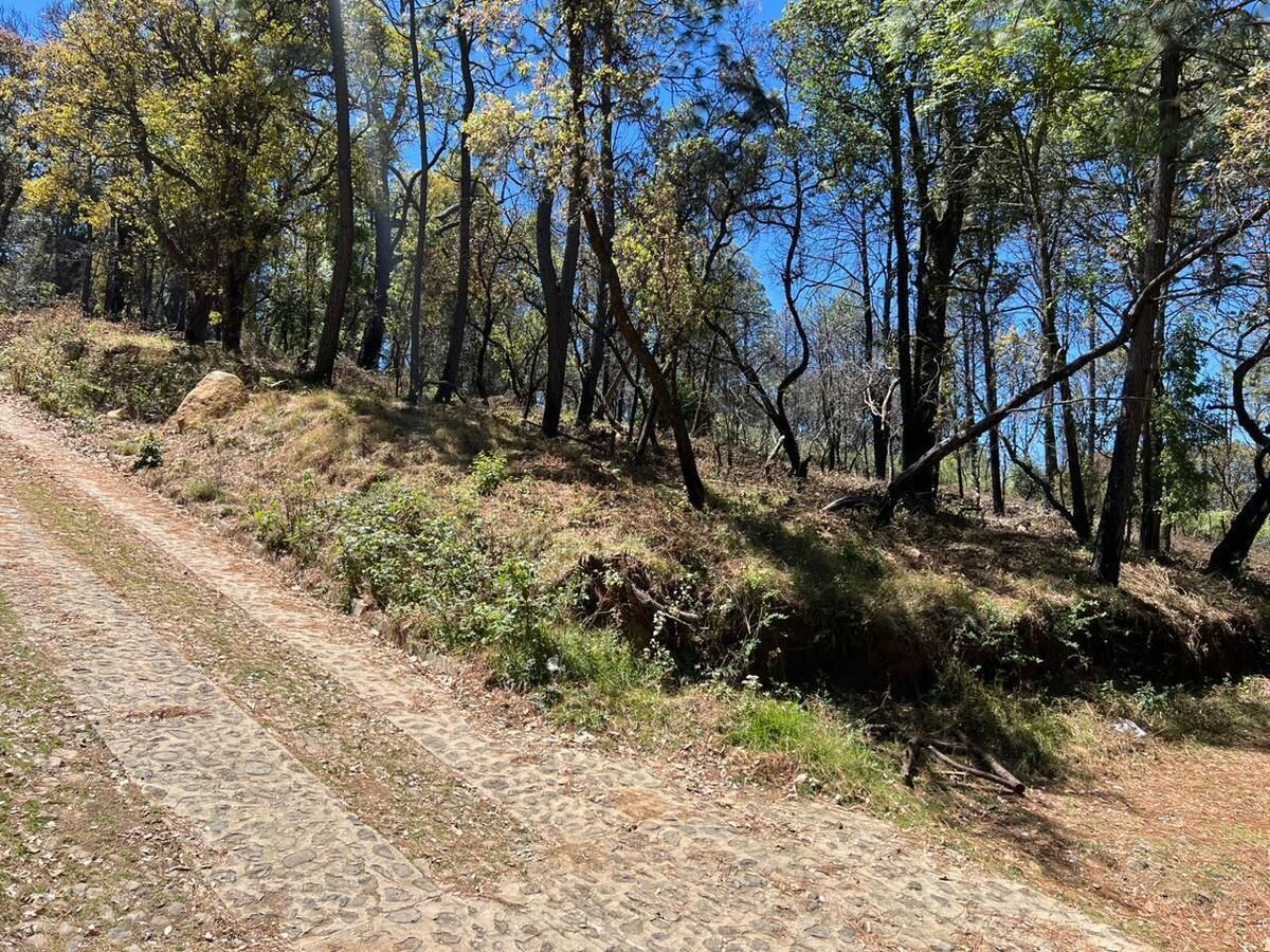 Terreno en Venta a 5 min de Mazamitla Centro, Jalisco! - foto 4