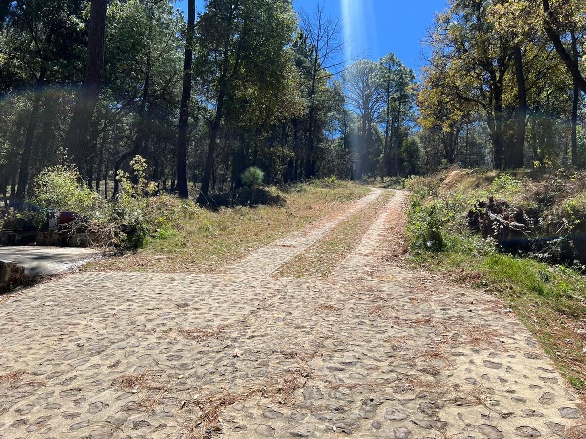Terreno en Venta a 5 min de Mazamitla Centro, Jalisco! - foto 5