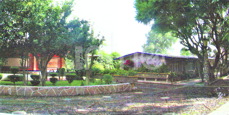 3 de 6
