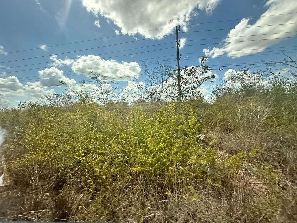 TERRENO EN VENTA EN SUMA YUCATAN - foto 2