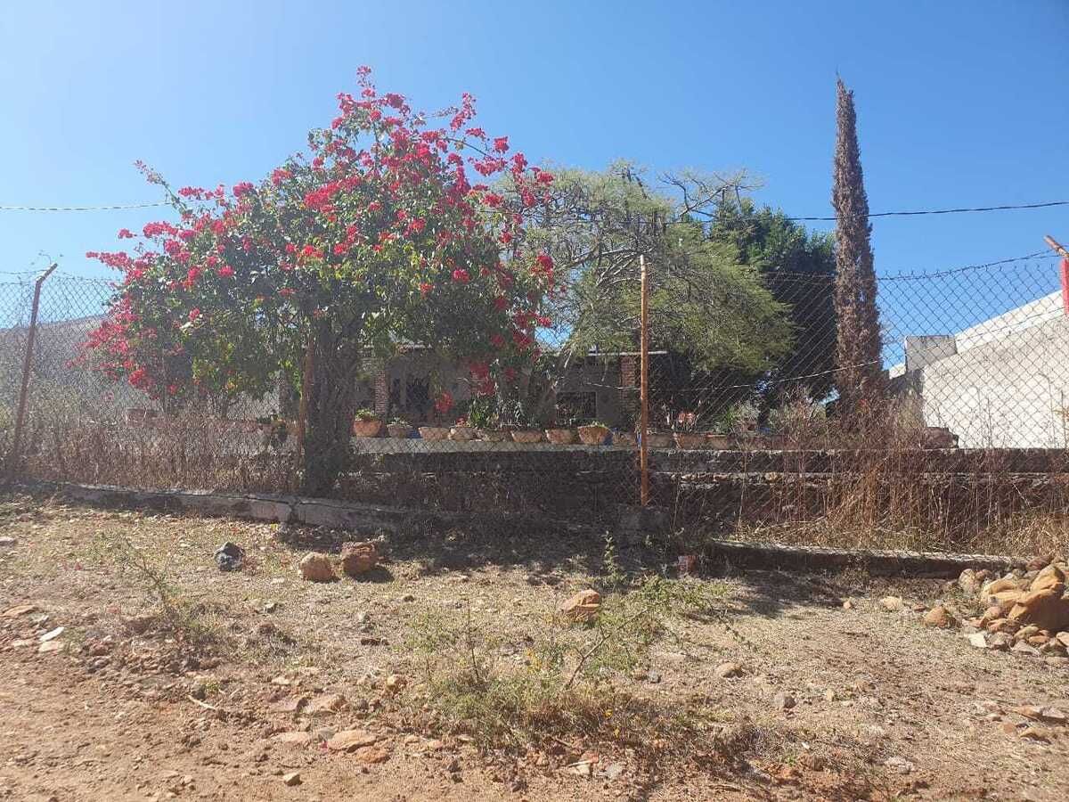 Excelente Terreno en Venta en Jocotepec, Jalisco! - foto 4