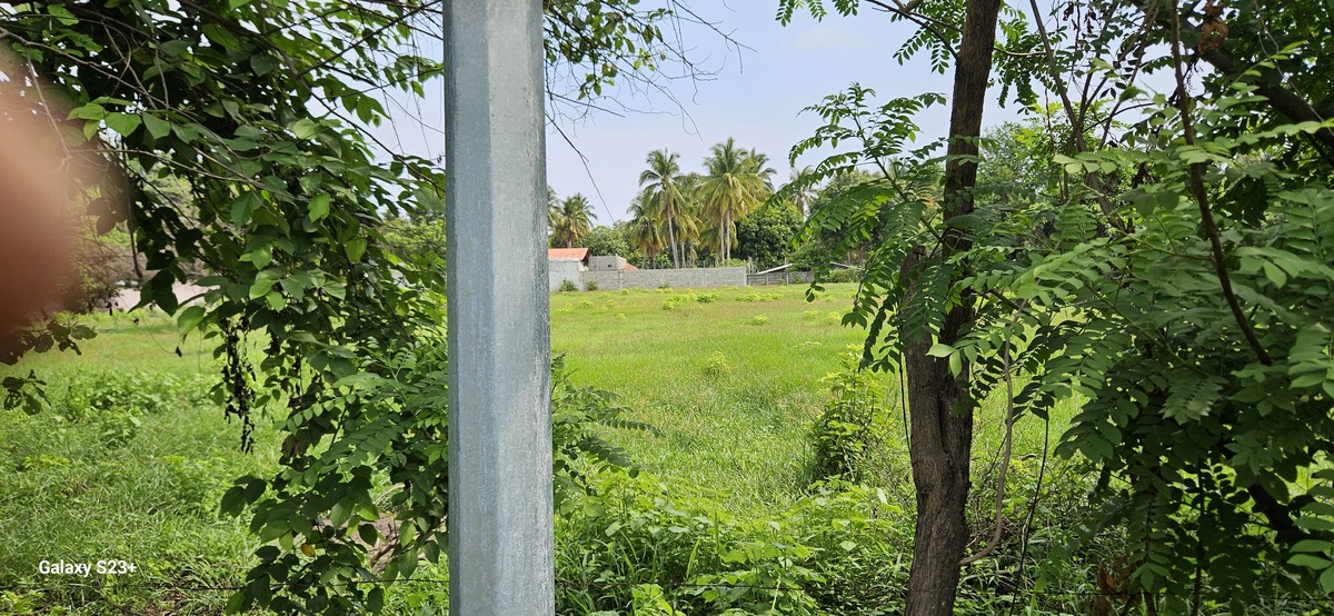Property view 9