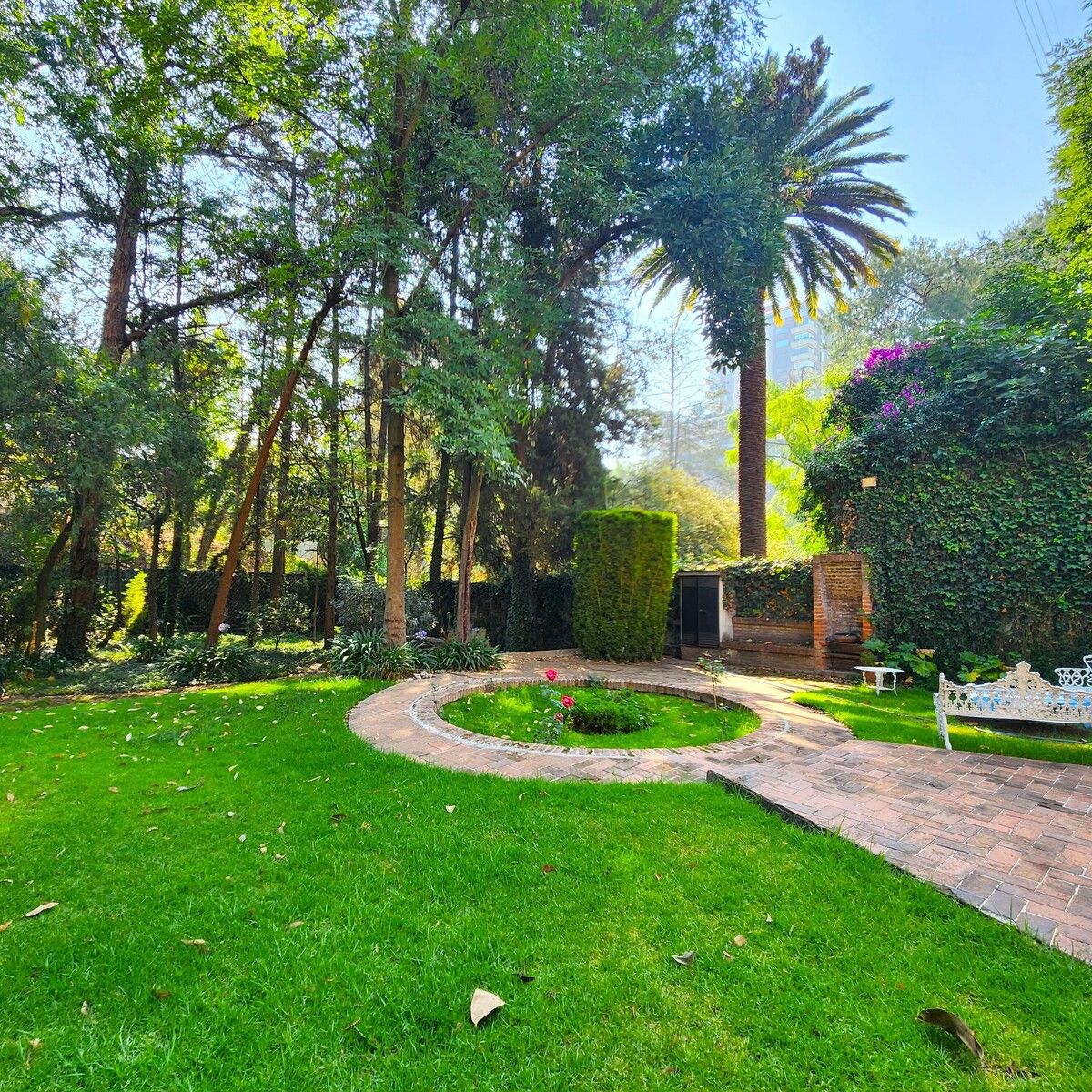 Apartment in Lomas de Reforma, Miguel Hidalgo, photo 23 of 28