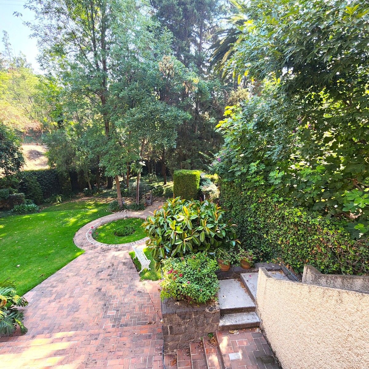 Apartment in Lomas de Reforma, Miguel Hidalgo, photo 25 of 28