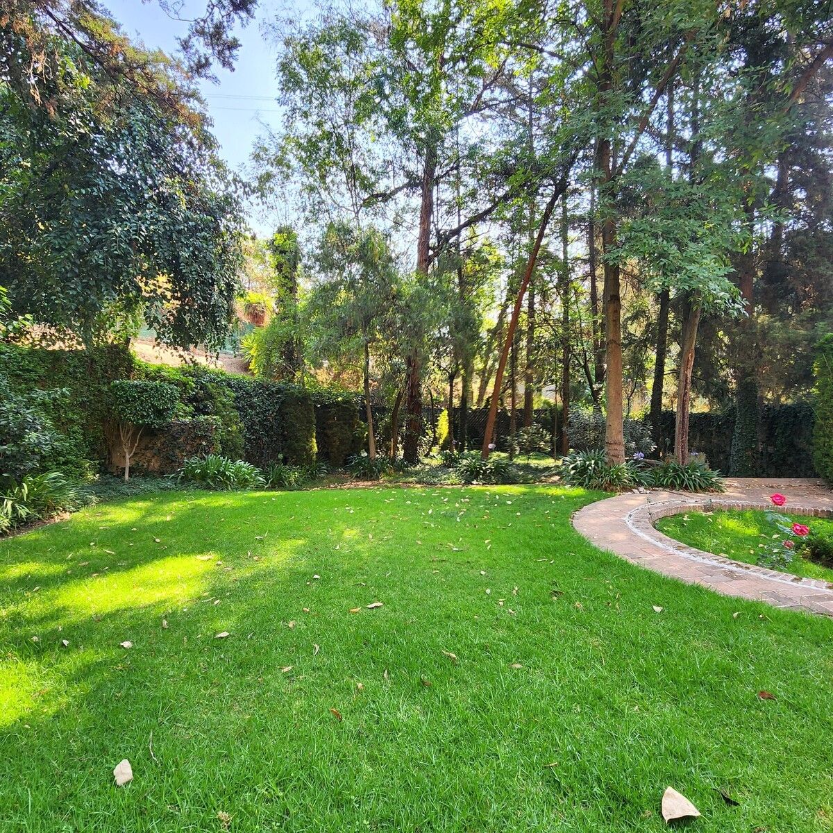 Apartment in Lomas de Reforma, Miguel Hidalgo, photo 26 of 28