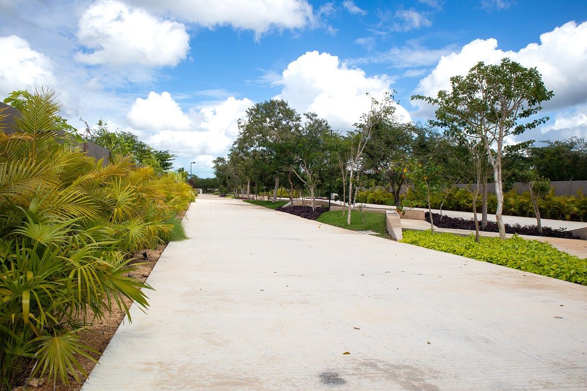Terreno en Santa María Yaxché, Mérida, foto 15 de 16