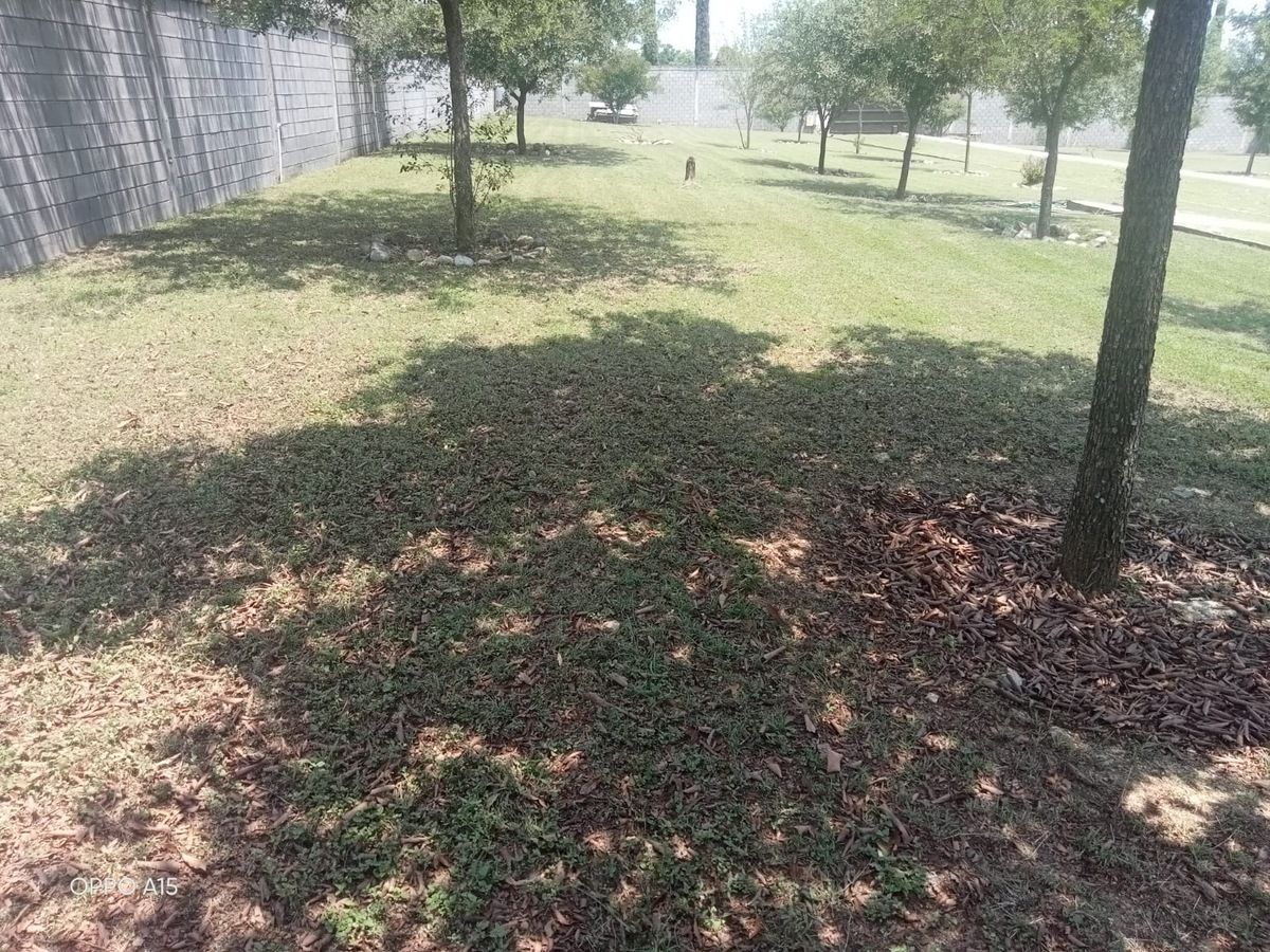 4 de 13