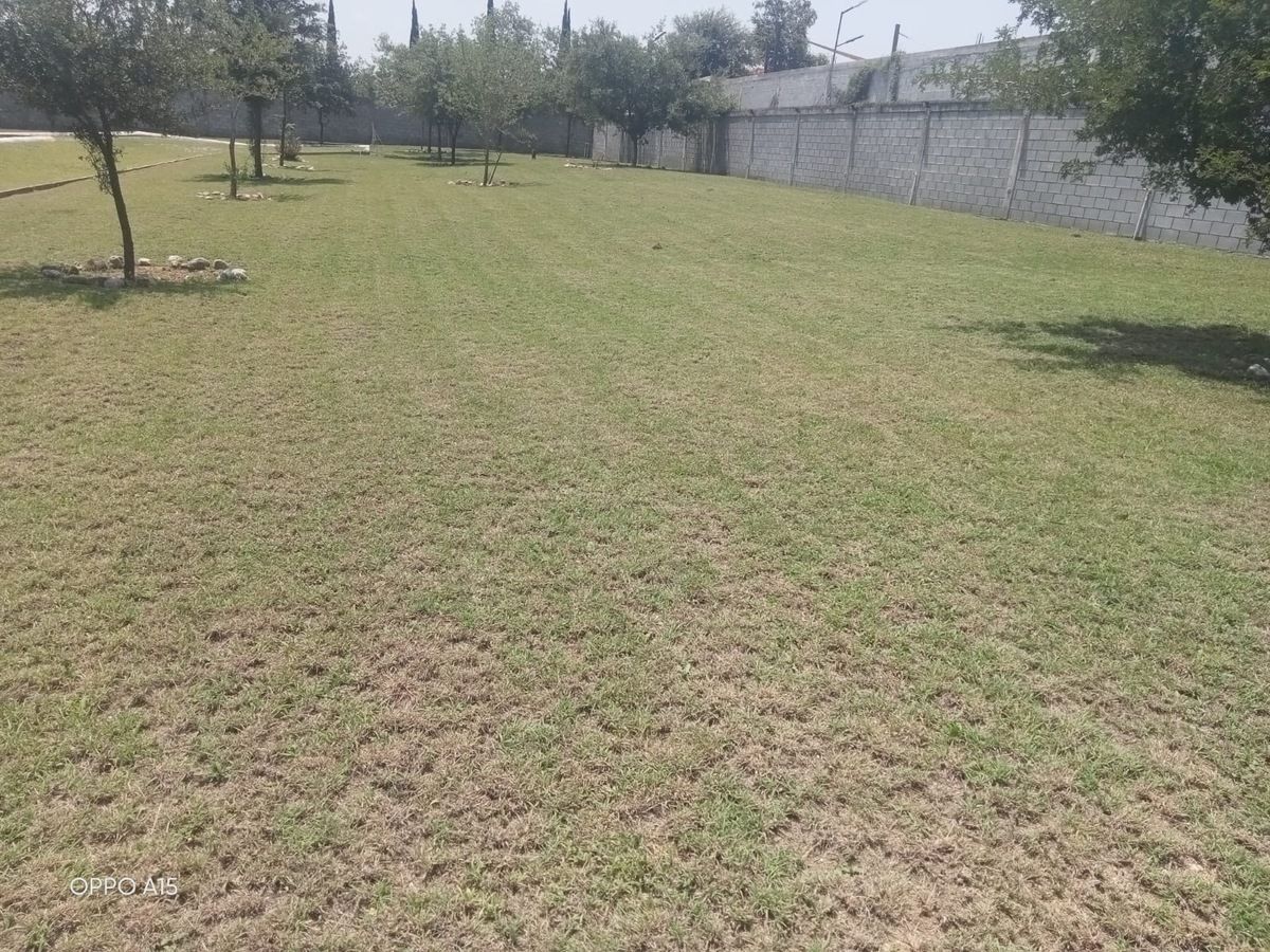 5 de 13