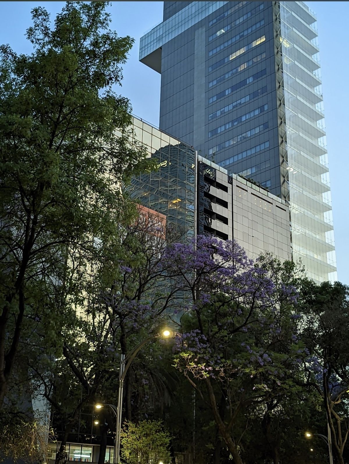 5 de 14