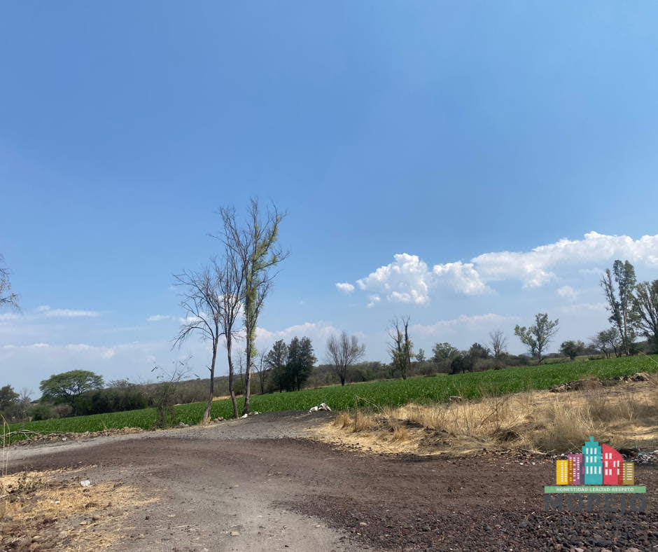 Se Vende Rancho en San Juan de Razos