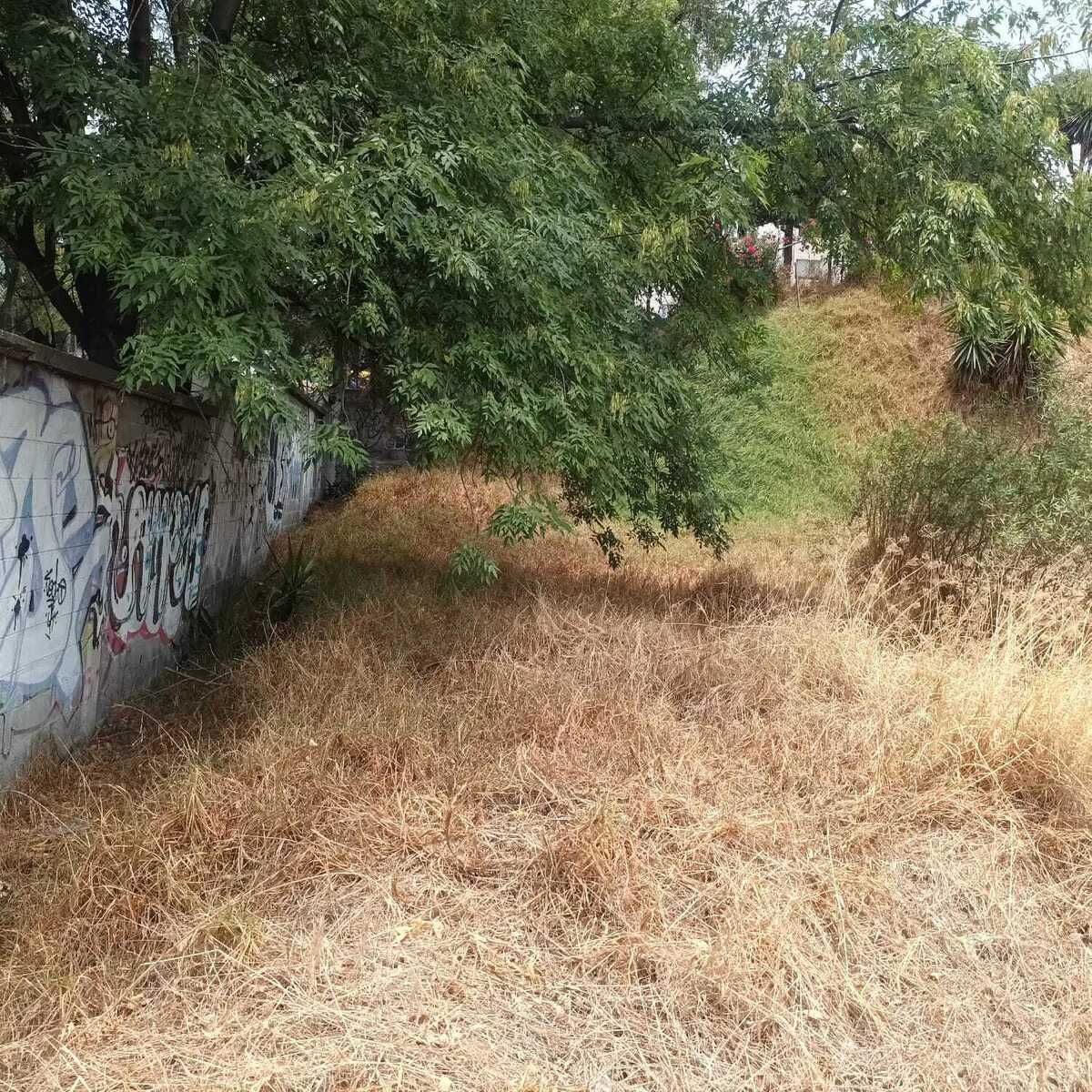 5 de 10