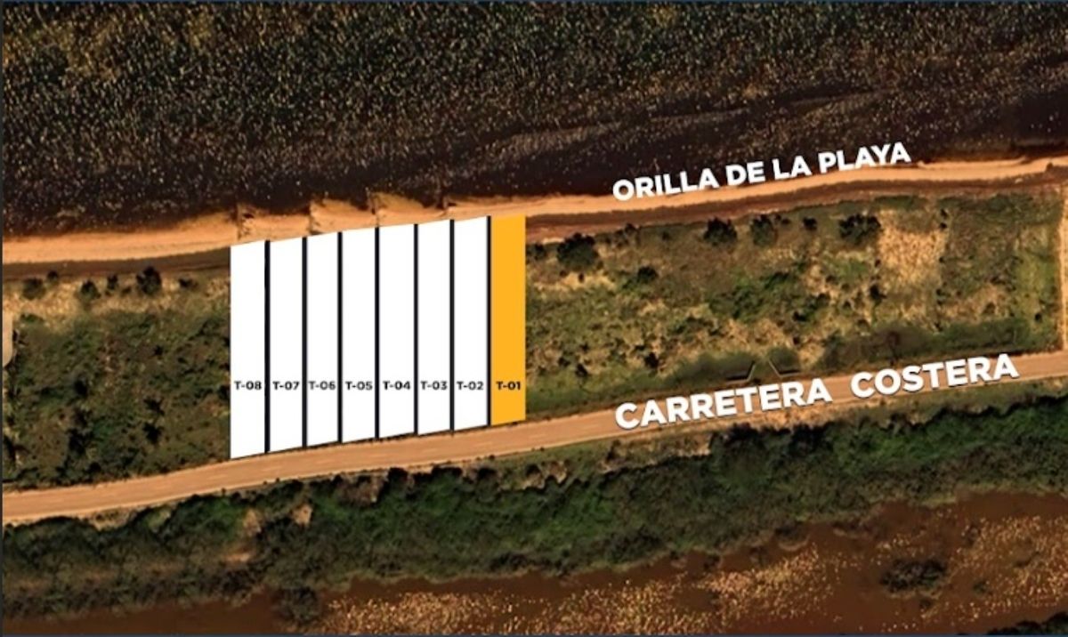 5 de 6
