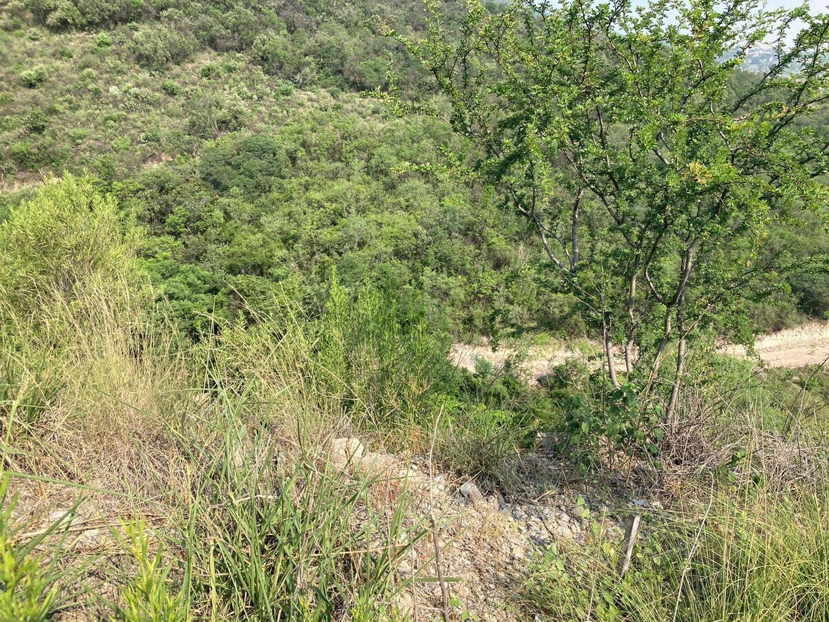 2 de 3