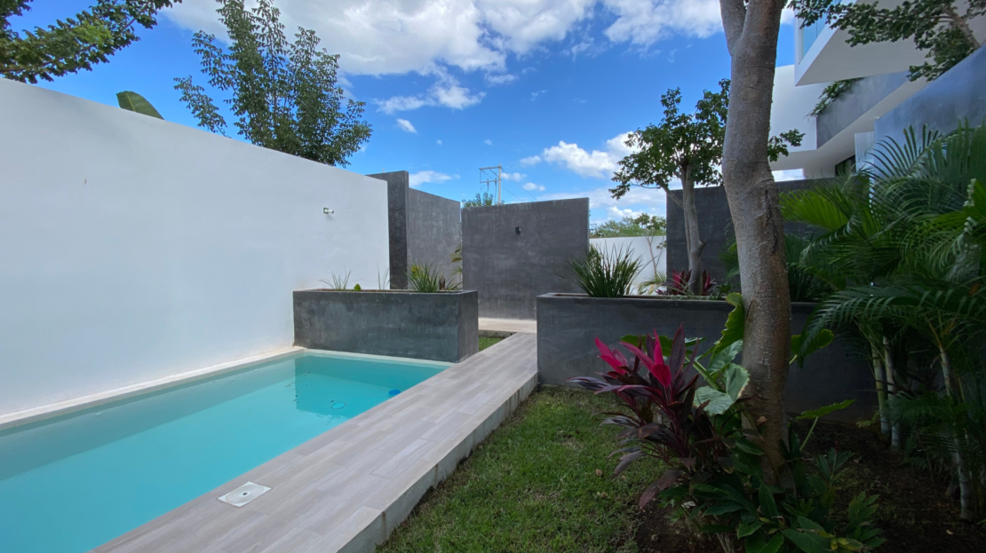 2 de 10: Alberca común