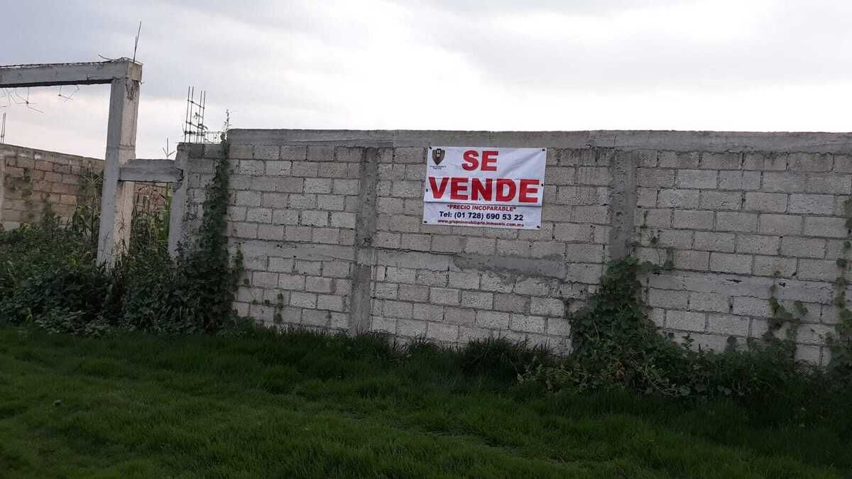 5 de 6