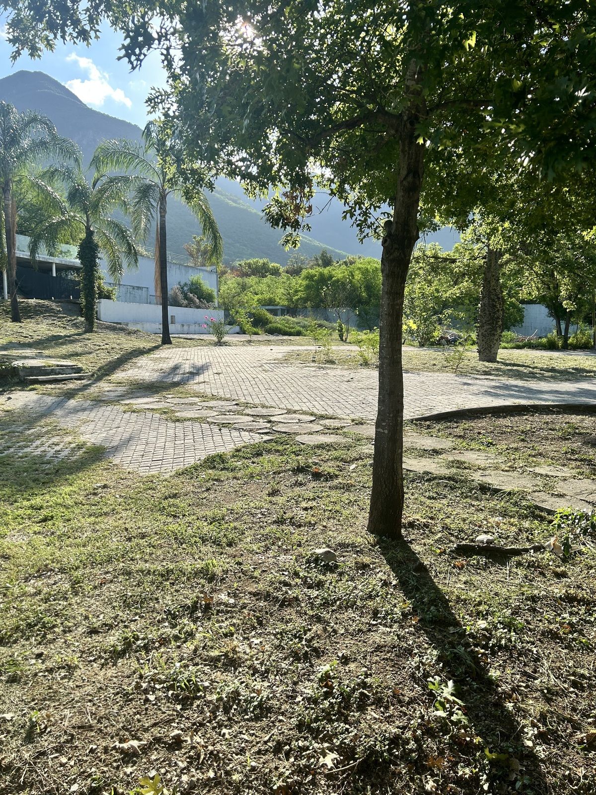 3 de 15