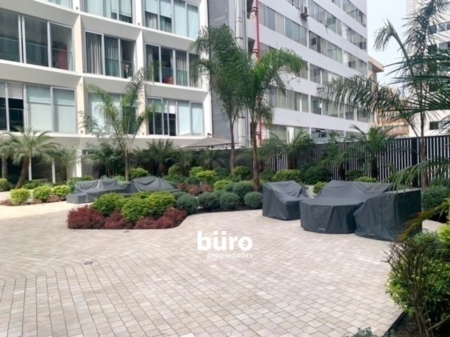 13 de 23: Parque interno