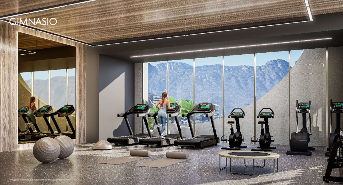 Gimnasio