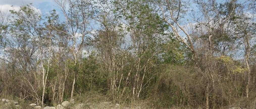 4 de 5