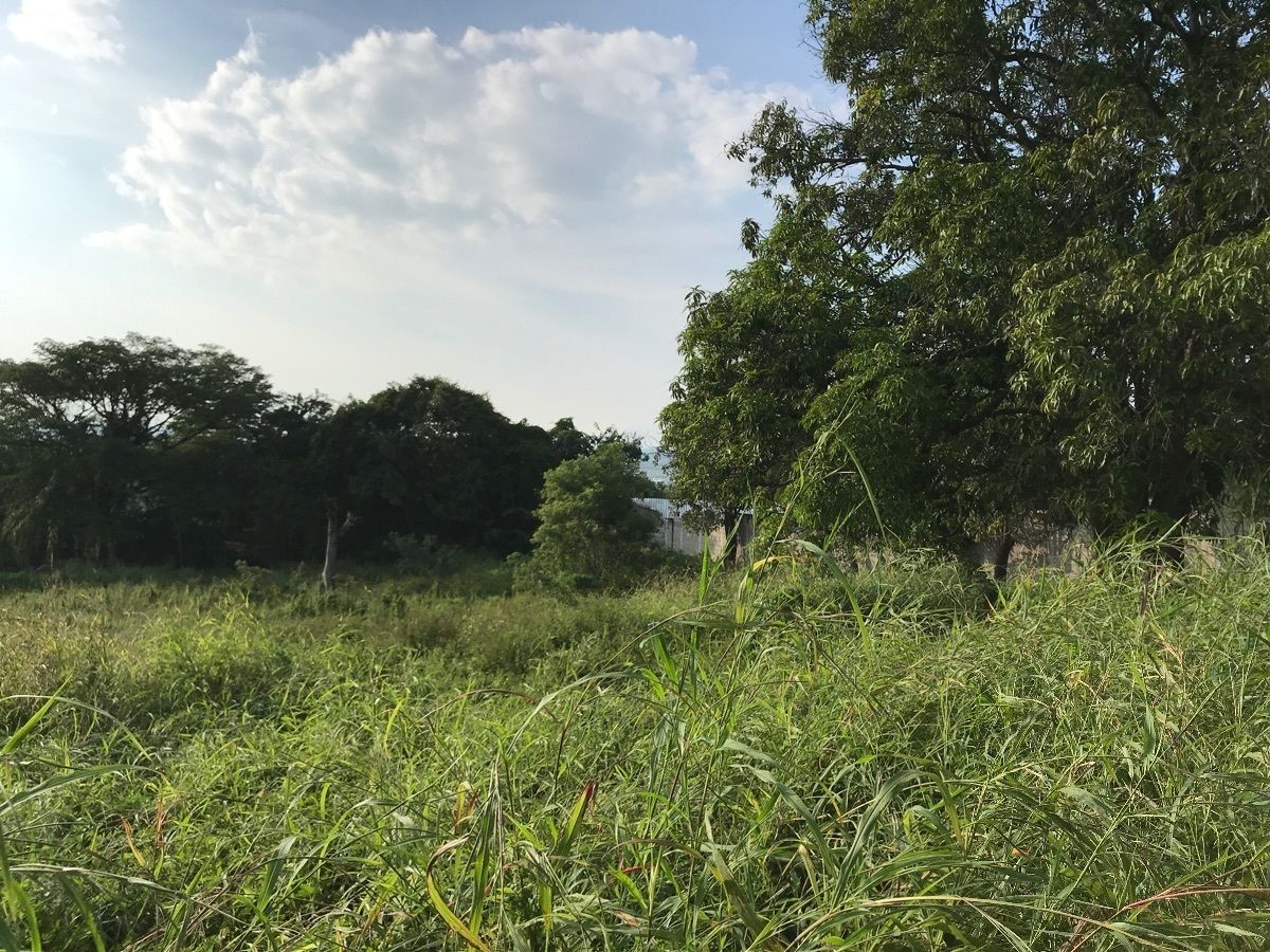 Terreno en venta Loma Bonita Terán, casas de interés social