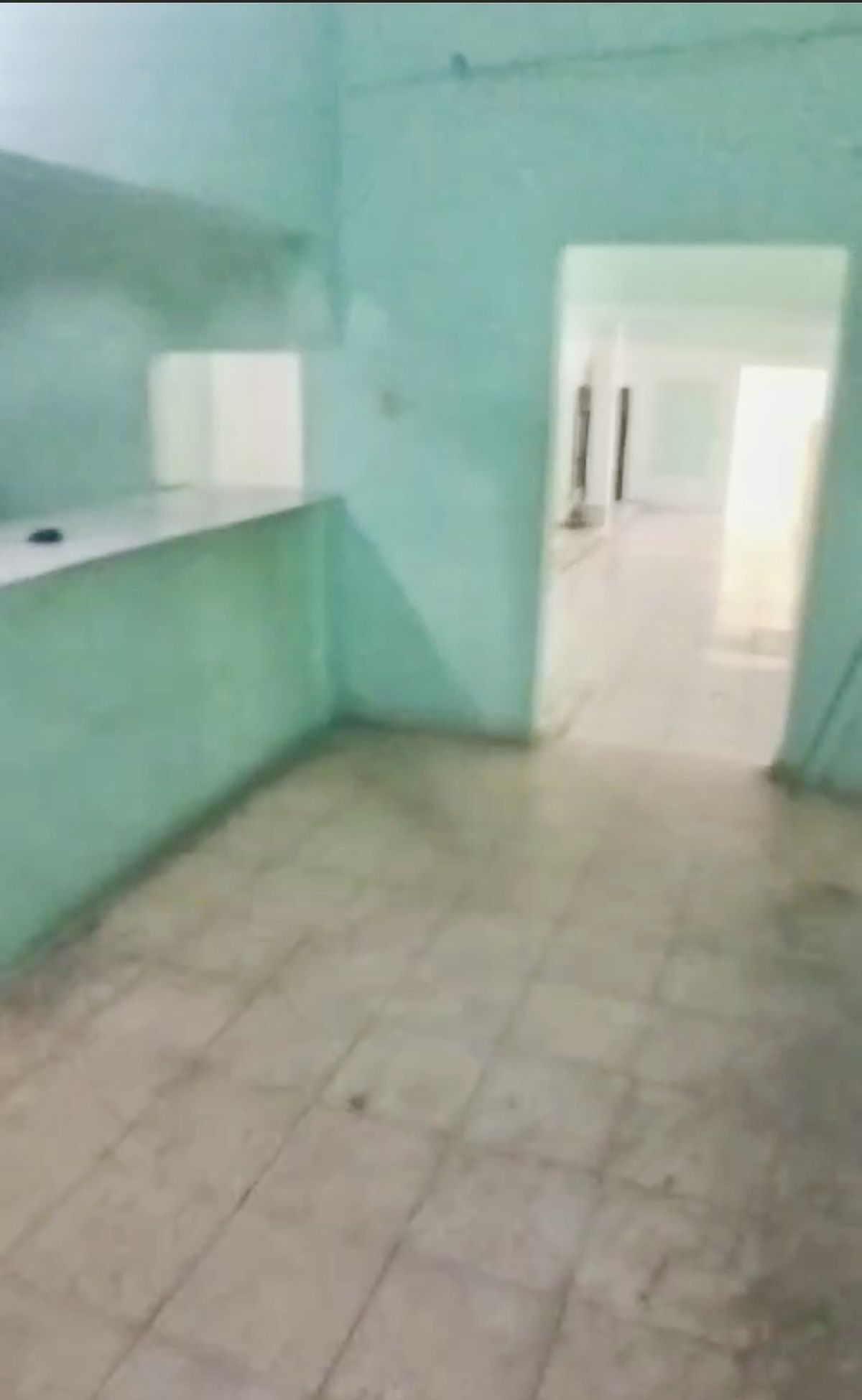 5 de 31