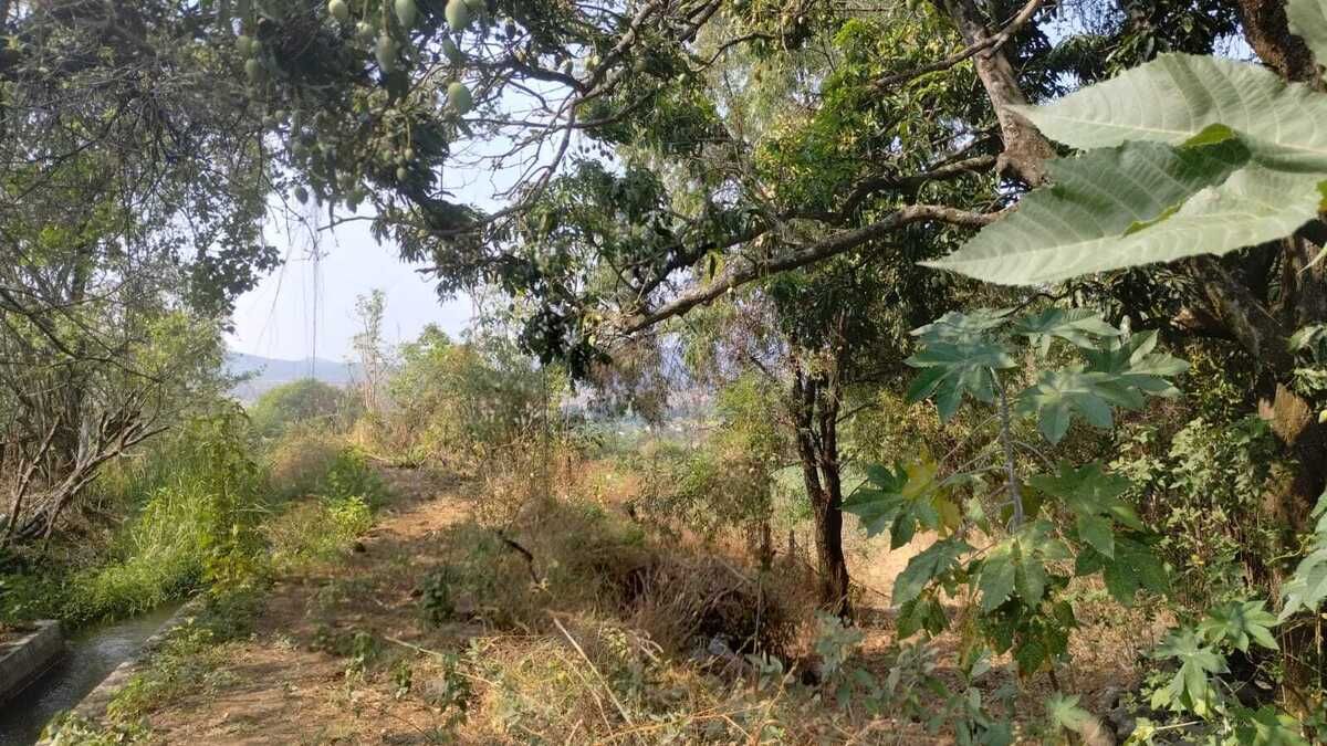 ¡Oportunidad Inigualable en Malinalco! - foto 4