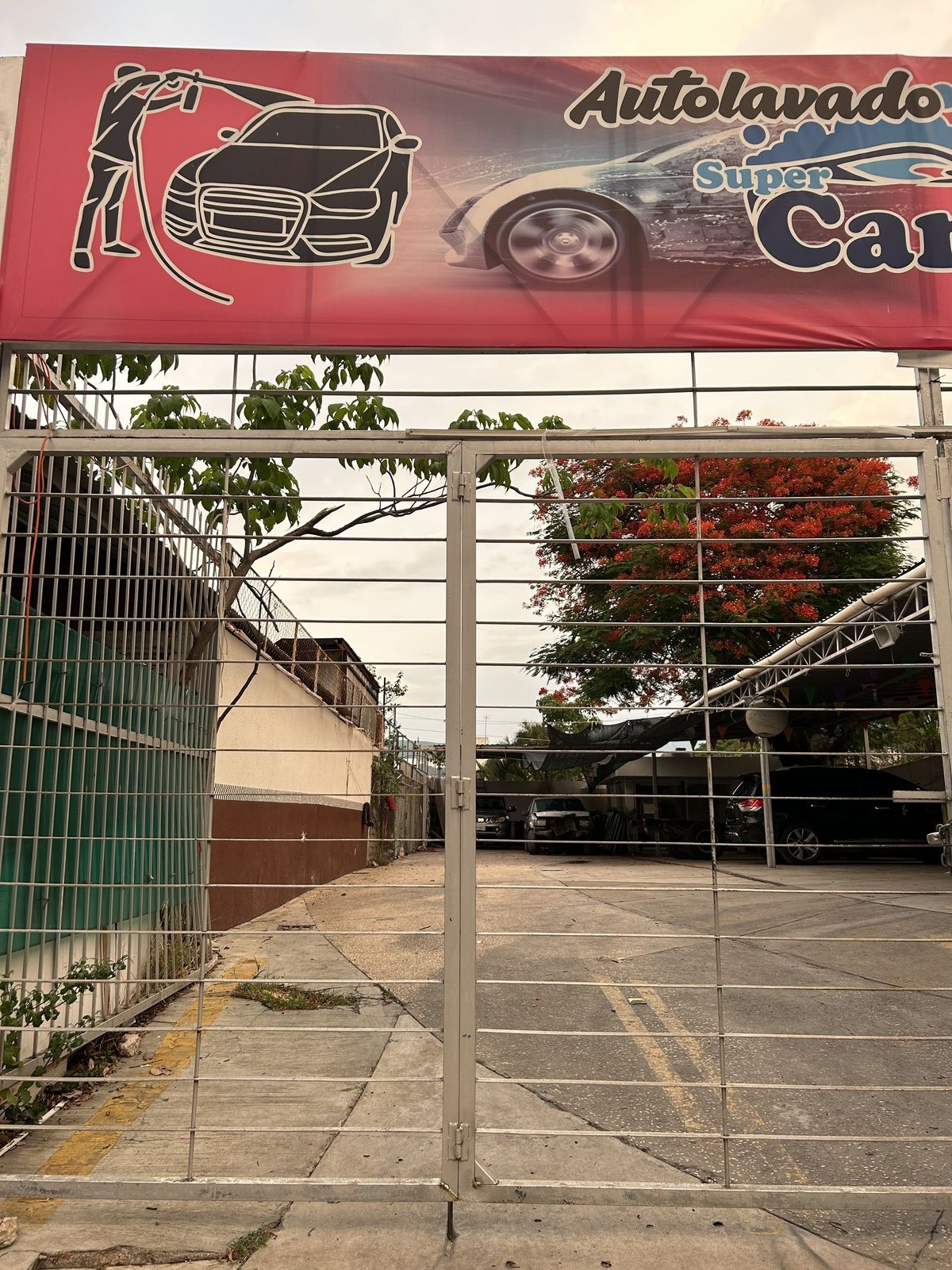 8 de 14