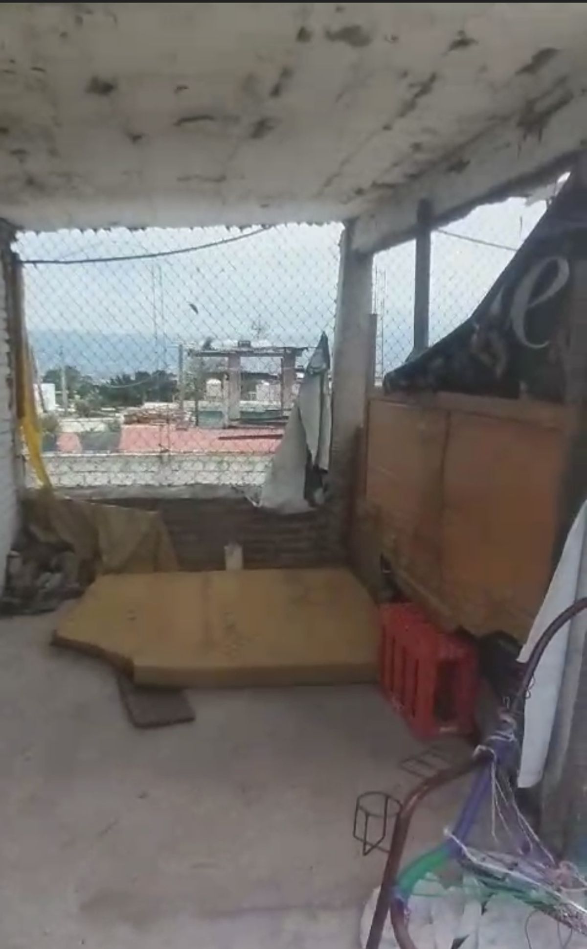 33 de 50