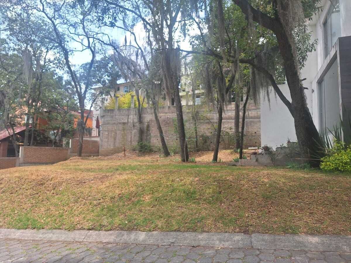 3 de 21