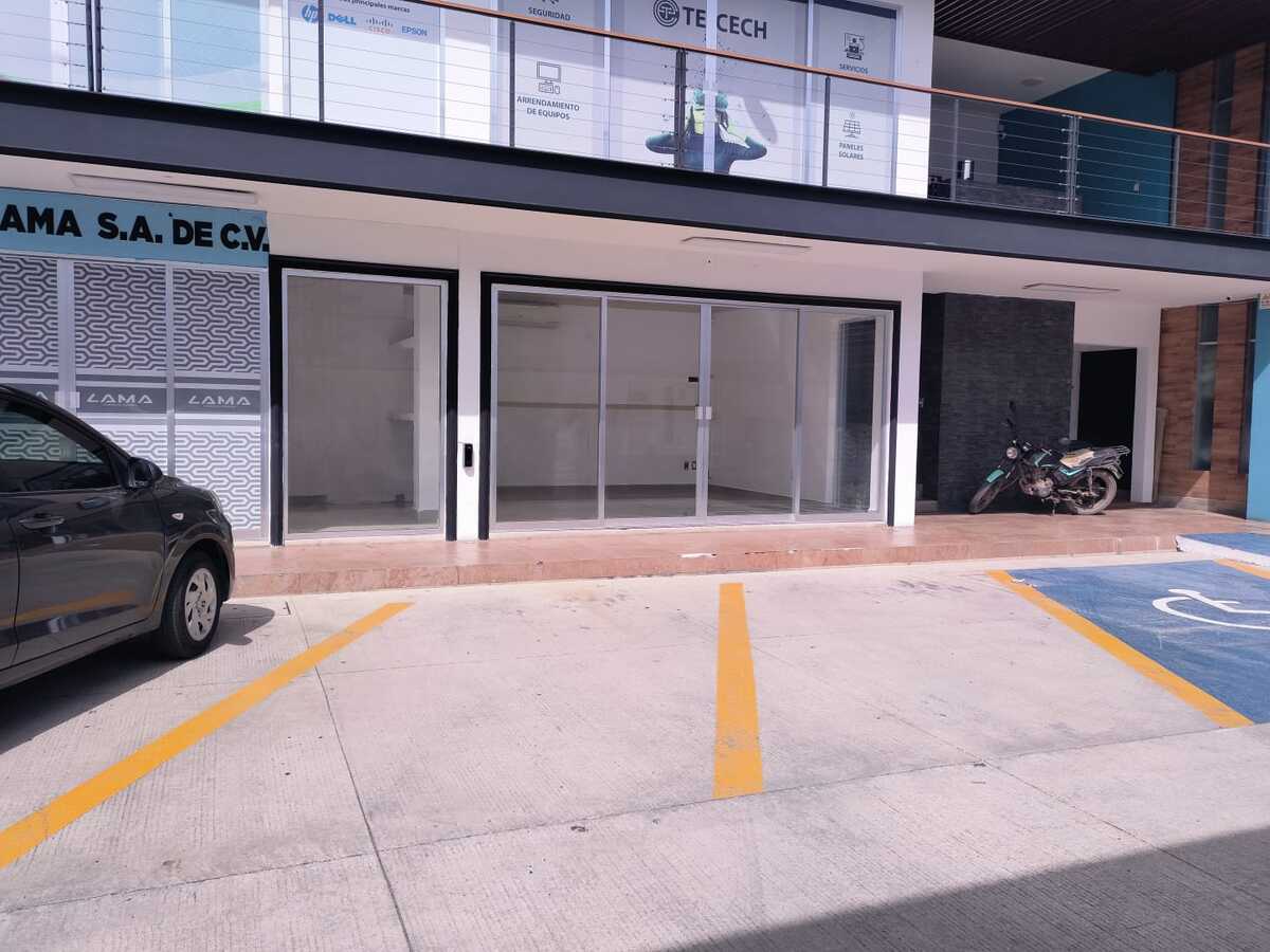 2 de 11