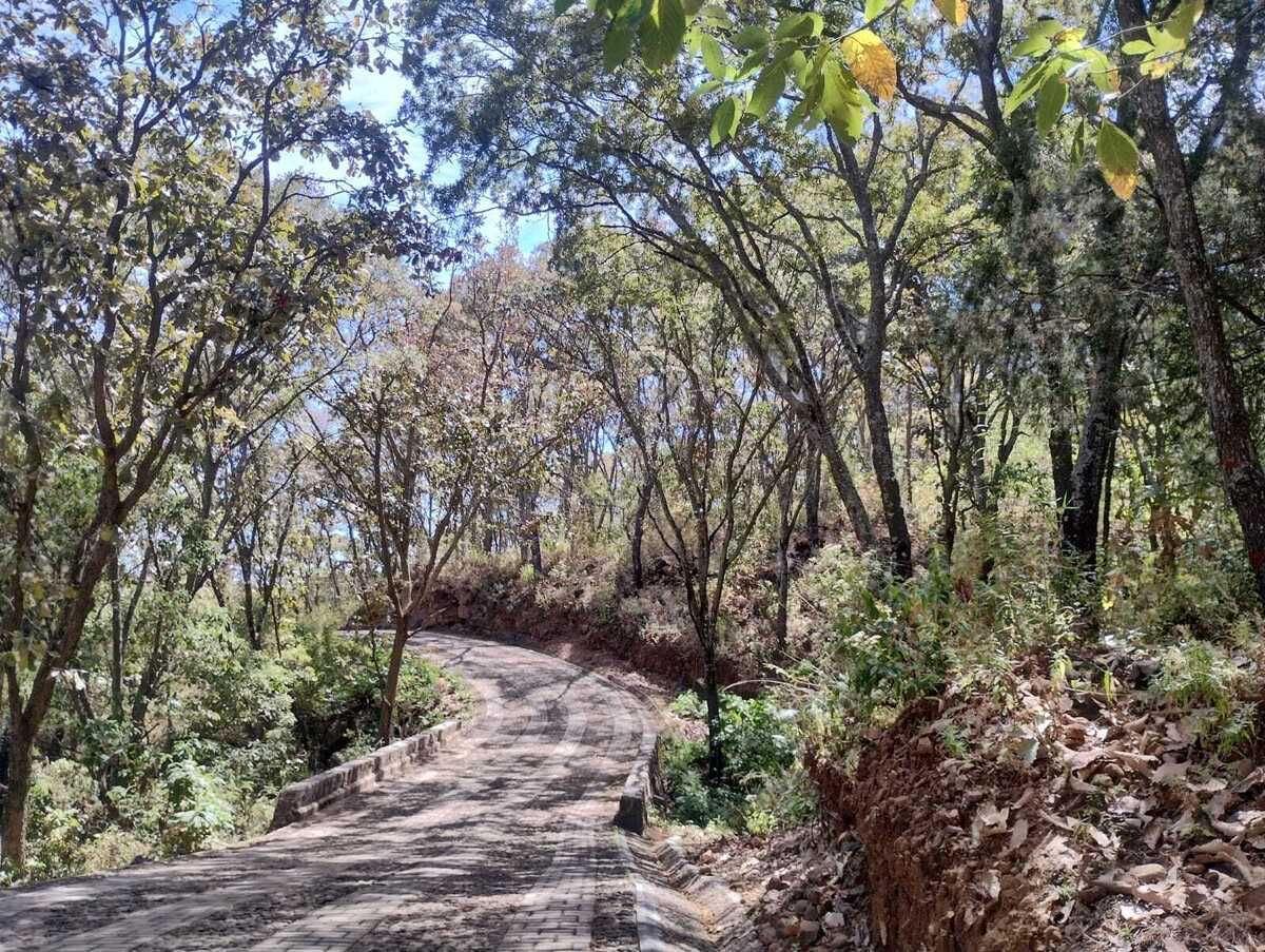 2 de 10